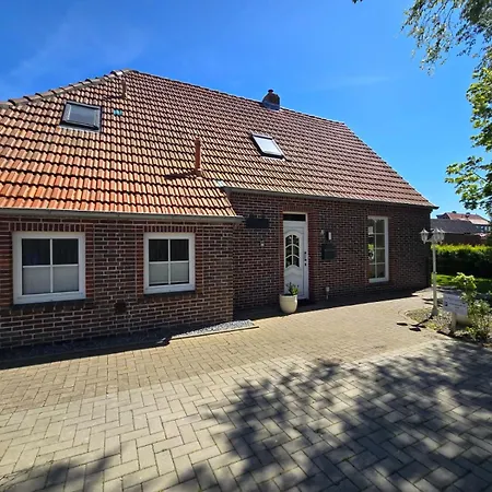 Schlickwanderer Gross