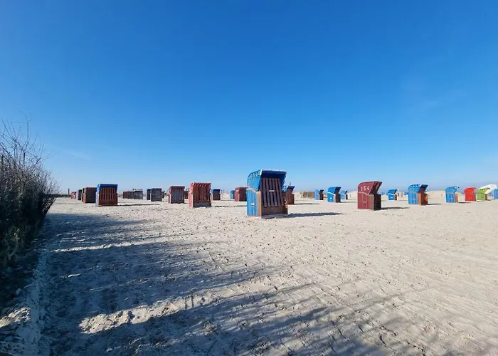 Schlickwanderer Gross Daire *