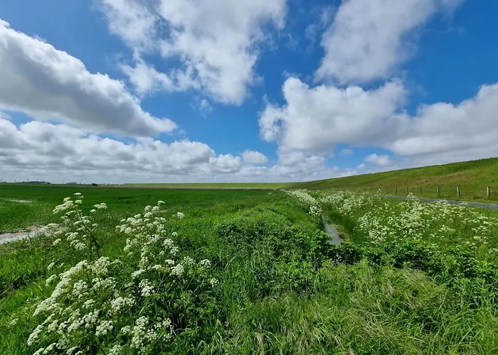 Schlickwanderer Gross *