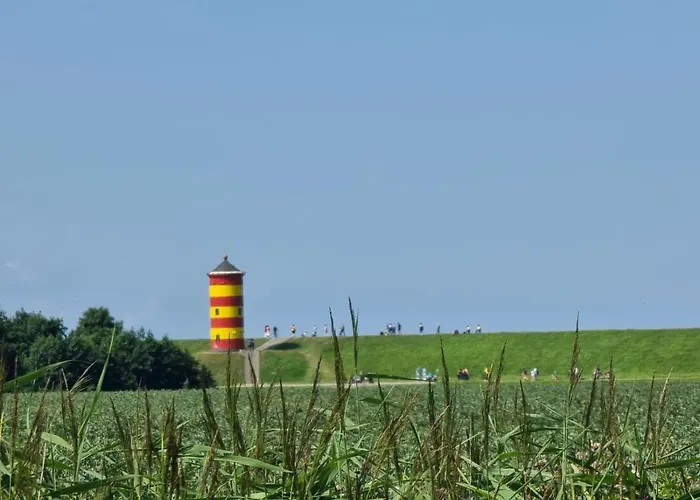 Schlickwanderer Gross Daire *