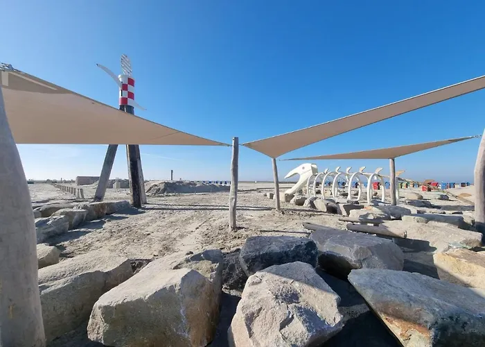 Schlickwanderer Gross *