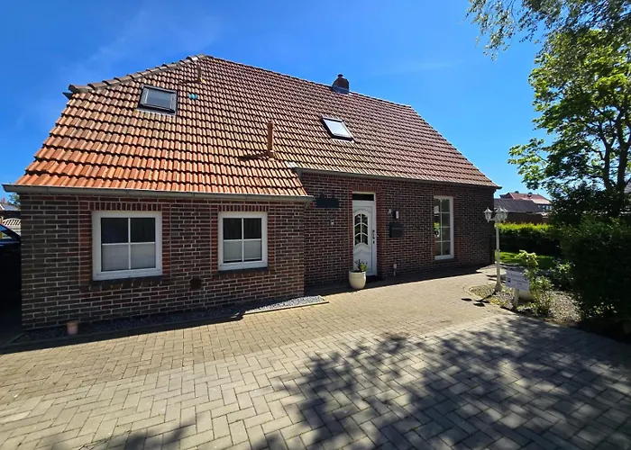 Schlickwanderer Gross